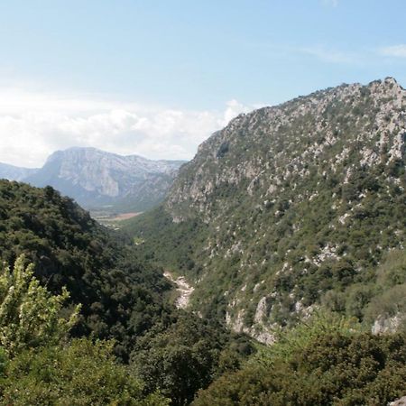 Cala Gonone - Nettuno Διαμέρισμα Εξωτερικό φωτογραφία
