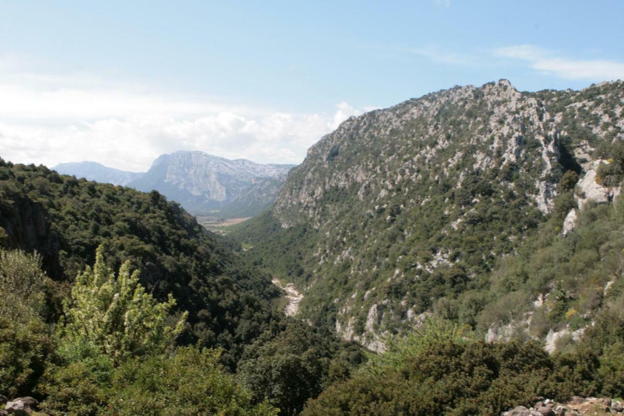 Cala Gonone - Nettuno Διαμέρισμα Εξωτερικό φωτογραφία